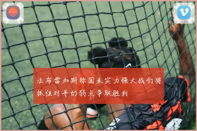法布雷加斯称国米实力强大我们将抓住对手的弱点争取胜利