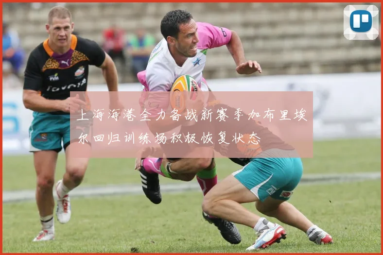 上海海港全力备战新赛季加布里埃尔回归训练场积极恢复状态