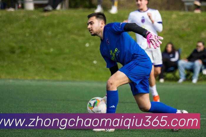 App Interface Preview